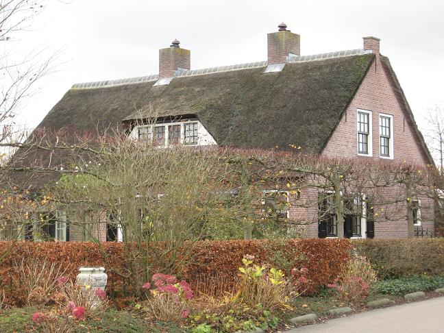 thatched-roof house2