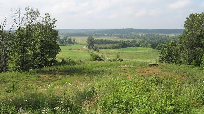 view from the house