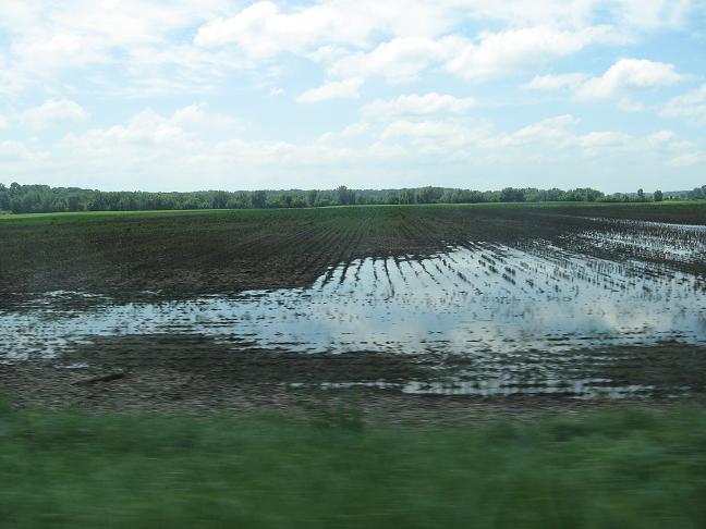 countryside - field under water