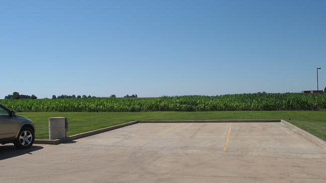 Cornfield behind Best Western