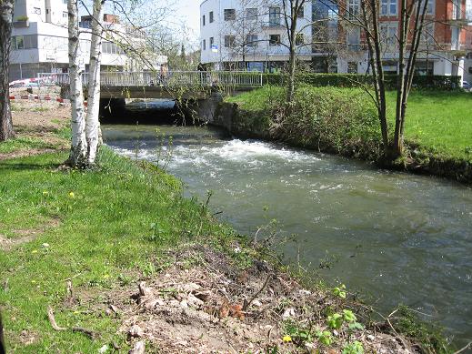 river and apt bldg near covered bridge