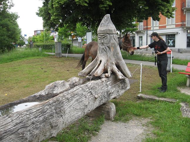 Wood troll head