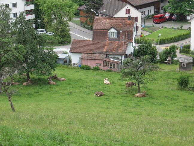 View of house from hill