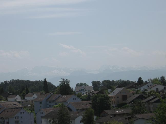View of Alps from hill in Uster