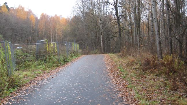 path by the cave