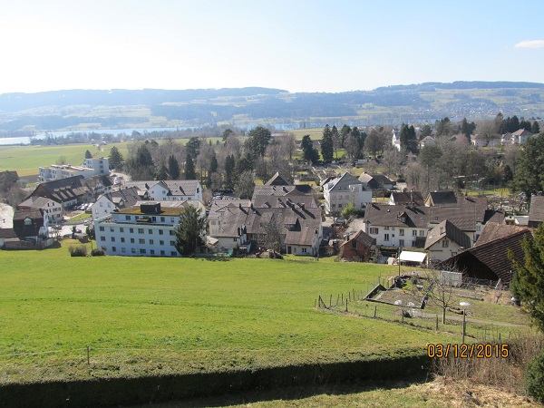 View of Uster